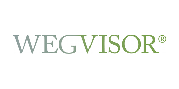 WEGVISOR Unternehmensberatung